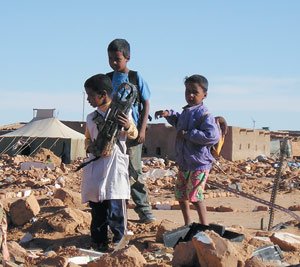 Robert Kennedy foundation: panic in the Polisario HQ in Tindouf