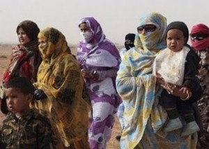 These Sahrawi refugees who flee the Tindouf camps!