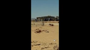 Sahrawi drug traffickers drew their firearms in Tindouf camps
