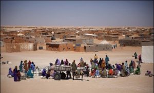 NGO denounces inhuman treatment of Sahrawi women in Tindouf